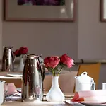 Junior 波杰布拉迪