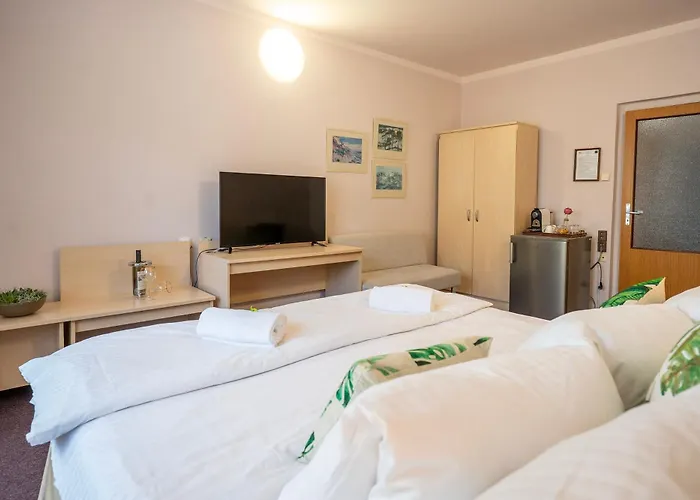 Hotell Junior Poděbrady